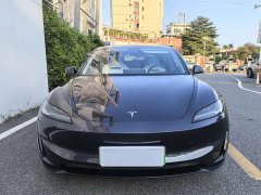Tesla Model 3 High Performance All-Wheel Drive - ფოტო 2