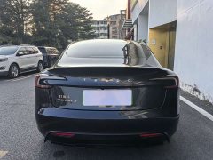 Tesla Model 3 High Performance All-Wheel Drive - ფოტო 5