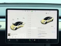 Tesla Model 3 Facelift Standard Range RWD Upgrade 3D1 - ფოტო 15