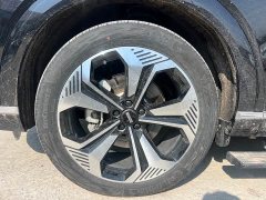 Great Wall WEY Blue Mountain Four-Wheel Drive Extended Range Version - ფოტო 10