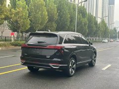 Great Wall WEY Blue Mountain Four-Wheel Drive Extended Range Version - ფოტო 7