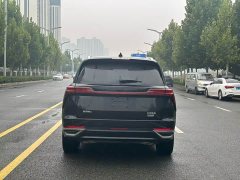 Great Wall WEY Blue Mountain Four-Wheel Drive Extended Range Version - ფოტო 8