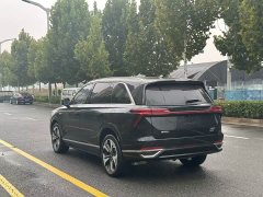 Great Wall WEY Blue Mountain Four-Wheel Drive Extended Range Version - ფოტო 9