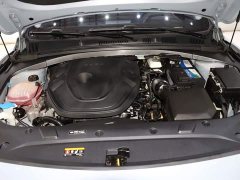 Geely Xingrui 2.0T Diesel Luxury - ფოტო 14