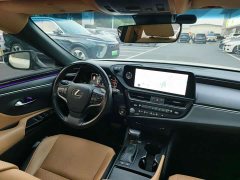 Lexus ES 200 Excellence Edition - ფოტო 10