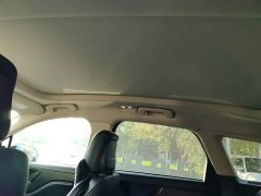 Lincoln Explorer 2.0T Two-Wheel Drive Premium - ფოტო 14