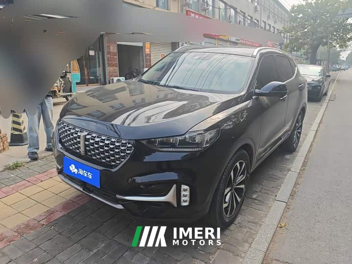 Great Wall WEY VV6 2.0T Two-Wheel Drive Smart Protection
