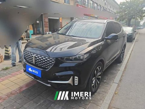 2021 Great Wall WEY VV6 2.0T Two-Wheel Drive Smart Protection - ავტომობილი ჩინეთიდან