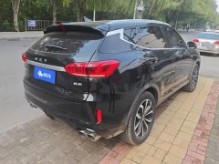 Great Wall WEY VV6 2.0T Two-Wheel Drive Smart Protection - ფოტო 3