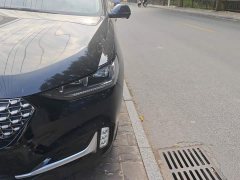 Great Wall WEY VV6 2.0T Two-Wheel Drive Smart Protection - ფოტო 5