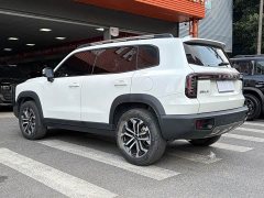 Great Wall Dachshund 1.5T DCT Labrador Edition - ფოტო 16