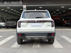 Great Wall Dachshund 1.5T DCT Labrador Edition - ფოტო 17