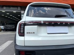 Great Wall Dachshund 1.5T DCT Labrador Edition - ფოტო 20