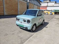 Geely Panda Mini 200km Endurance Edition - ფოტო 1