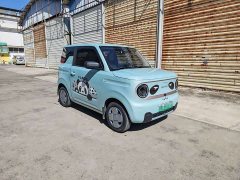 Geely Panda Mini 200km Endurance Edition - ფოტო 3