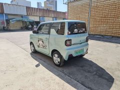 Geely Panda Mini 200km Endurance Edition - ფოტო 4