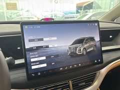 Denza D9 DM-i 980 Four-Wheel Drive Flagship - ფოტო 12