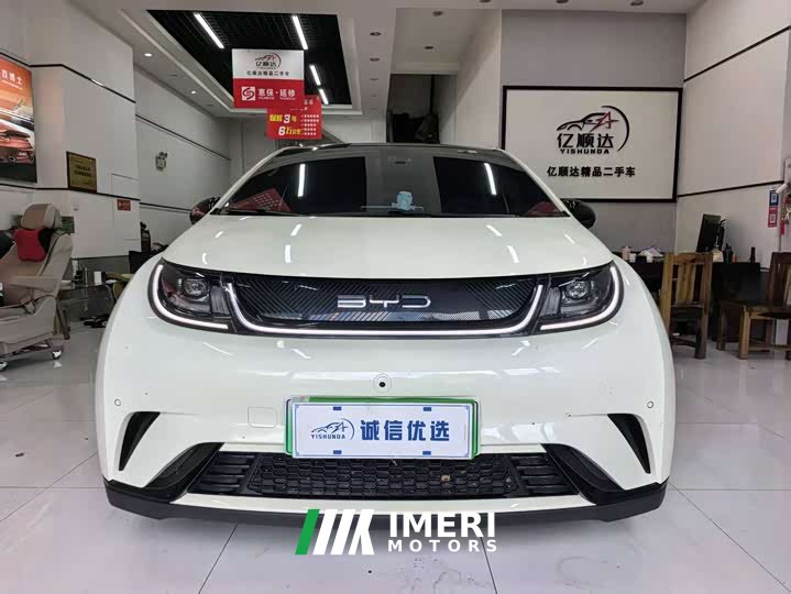 BYD Dolphin Glory Edition 420km Fashion Version - ავტომობილი ჩინეთიდან