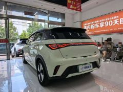 BYD Dolphin Glory Edition 420km Fashion Version - ფოტო 12