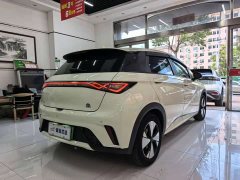BYD Dolphin Glory Edition 420km Fashion Version - ფოტო 13