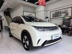 BYD Dolphin Glory Edition 420km Fashion Version - ფოტო 2