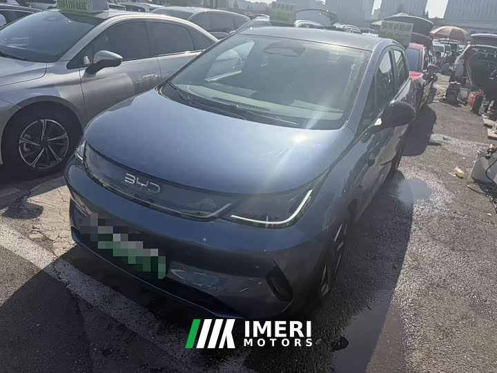 BYD Dolphin Smart Driving Edition 520km Knight Edition - ავტომობილი ჩინეთიდან