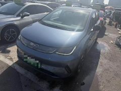 BYD Dolphin Smart Driving Edition 520km Knight Edition - ფოტო 1