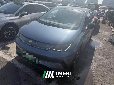 2026 BYD Dolphin Smart Driving Edition 520km Knight Edition - ავტომობილი ჩინეთიდან
