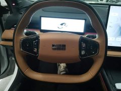 Geely Galaxy Xingyao 8 130km EM-P Starship Edition - ფოტო 15
