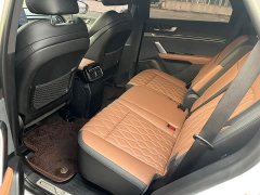 BYD Tang New Energy DM-i 112KM Premium Edition - ფოტო 15