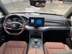 BYD Tang New Energy DM-i 112KM Premium Edition - ფოტო 19