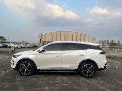 BYD Tang New Energy DM-i 112KM Premium Edition - ფოტო 5