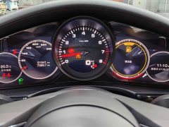 Porsche Panamera 2.9T - ფოტო 14