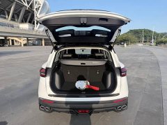 Geely Bingyue 1.4T DCT Diamond Edition - ფოტო 10