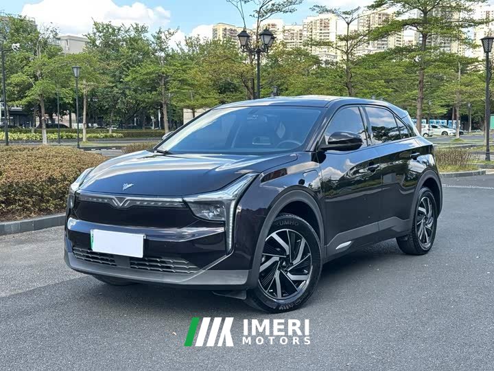 Neta U Pro 400 Cruise Edition - ავტომობილი ჩინეთიდან