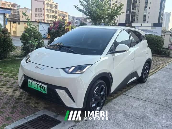 BYD Seagull Glory Edition 305km Freedom Version - ავტომობილი ჩინეთიდან