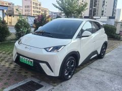 BYD Seagull Glory Edition 305km Freedom Version - ფოტო 1