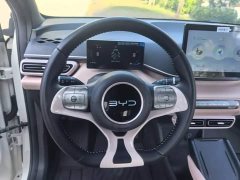BYD Seagull Glory Edition 305km Freedom Version - ფოტო 11