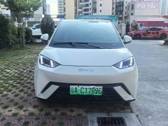 BYD Seagull Glory Edition 305km Freedom Version - ფოტო 2