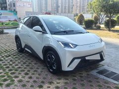 BYD Seagull Glory Edition 305km Freedom Version - ფოტო 3
