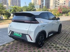BYD Seagull Glory Edition 305km Freedom Version - ფოტო 4