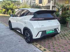 BYD Seagull Glory Edition 305km Freedom Version - ფოტო 6