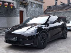 Tesla Model Y Rear-Wheel Drive - photo 2