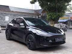 Tesla Model Y Rear-Wheel Drive - photo 4