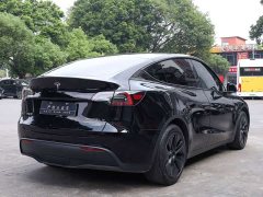 Tesla Model Y Rear-Wheel Drive - photo 8