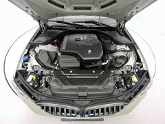 BMW 3 Series 320Li M Sport Package - ფოტო 8