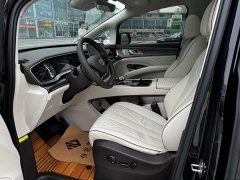 Denza D9 DM-i 1050 Premium - ფოტო 9