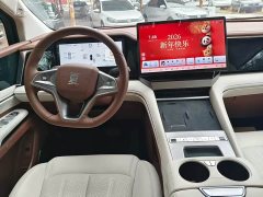 BYD Summer DM-i 1.5T 100km Excellence Edition - ფოტო 6