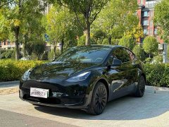 Tesla Model Y Rear-Wheel Drive - ფოტო 1
