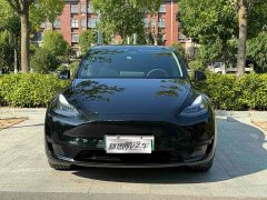 Tesla Model Y Rear-Wheel Drive - ფოტო 2